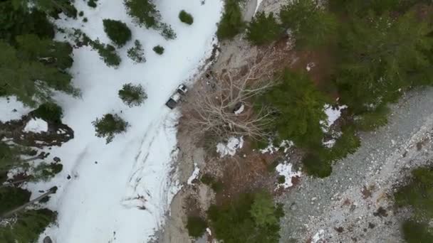 Вертикальное Видео Дрона Красивый Зимний Лес Берегу Небольшой Горной Реки — стоковое видео