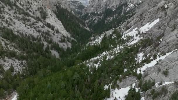 Autentica Foresta Montana Presa Drone Che Sorvola Una Nuvolosa Giornata — Video Stock