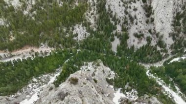 Ulusal parktaki karlı tepeleri ve çam ormanları olan pitoresk dağların insansız hava aracı görüntüleri..