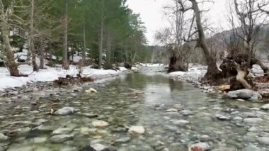 Açık havada su dokusu. Güçlü su akıntısı. Kış ormanlarında birçok taşlı akıntıyla hızlı akarsu. Baharın erken saatlerinde kozalaklı ağaçların arasında akan köpüklü dağ nehri