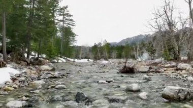 Alçak akıntılı dağ nehri gizemli ormanın içine akar. Hava görüntüsü. Ormanda akan küçük şelaleye yakın çekim.