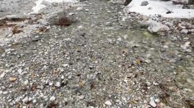 İnanılmaz, muhteşem, hızlı, taşlı dağ vahşi nehri yoğun yeşil ormanda akıyor. Büyüleyici doğa manzarası. .