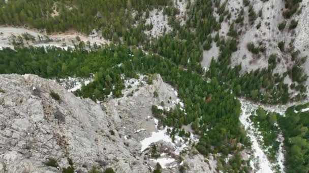 Pohled Dolů Dronu Texturované Horské Zelené Keře Mlhavé Krajinné Hory — Stock video