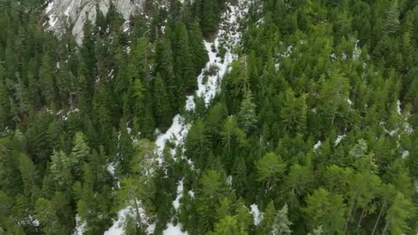 史诗式的无人驾驶飞机拍摄的岩石悬崖峭壁的图像 这些悬崖峭壁上栖息着大量的秃鹫 它们栖息在岩石之上 — 图库视频影像