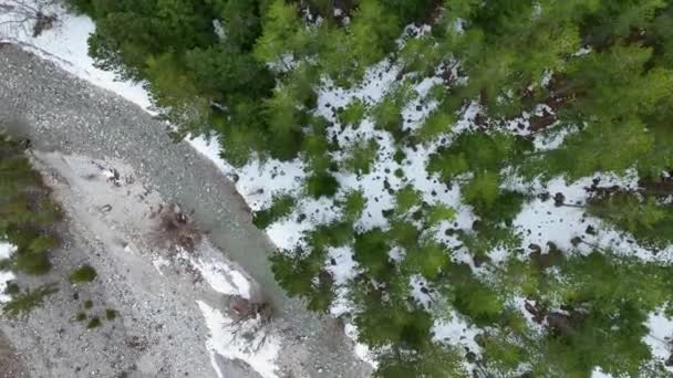 Nsansız Hava Aracı Dağ Nehrine Doğru Yavaşça Iniyor Ekseninin Etrafında — Stok video
