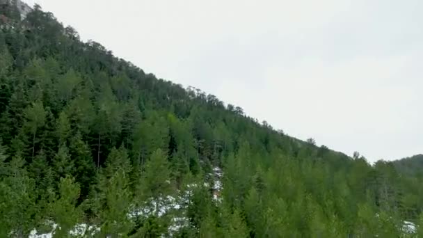 Вид Воздуха Видом Лес Посреди Заснеженных Деревьев Снежного Леса Темный — стоковое видео