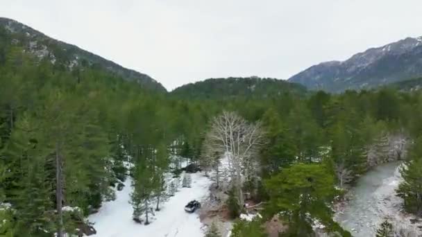Letecký Les Temného Oblačného Zimního Dne Vpřed Pohybující Dron — Stock video