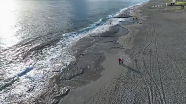 一对年轻漂亮的夫妇赤脚在海滩上散步聊天 一只小狗在他们身边跑来跑去 享受日落假期 — 图库视频影像