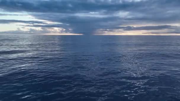 Hava Keşfi Alanyas Dinamik Şehir Manzarasını Tecrübe Edin Yüksek Kaliteli — Stok video