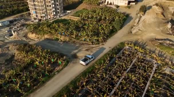 私たちの映画のドローンは 巨大なバナナ農園と一緒に優雅にナビゲートする農家のマシンをキャプチャするので バナナラマに身を浸します — ストック動画