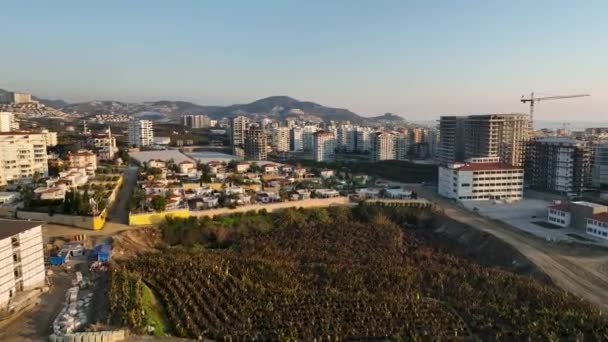 Zažijte Kouzlo Sousedství Obloze Našimi Záběry Filmových Dronů Předvádět Luxusní — Stock video