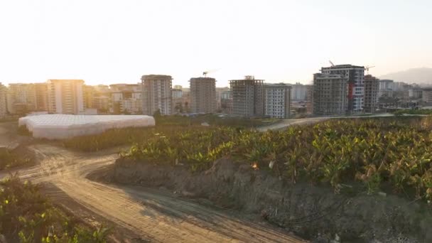 Glädje Den Flygande Utsikten Över Bananplantage Medelhavskusten Prydd Med Sina — Stockvideo