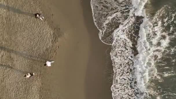 영화에 나오는 우리의 일몰에 해변을 드러내면서 사람들이 부드럽게 돌보아 물가에 — 비디오