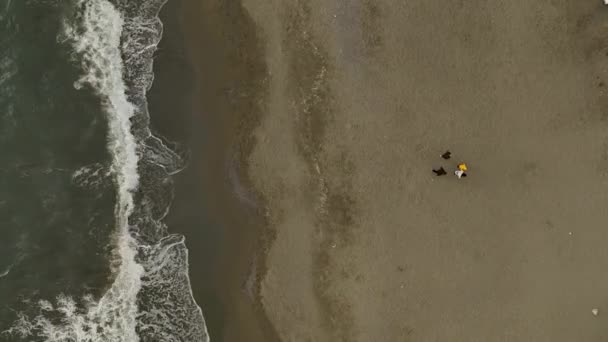 Пристрасть Сутінок Кінематографічний Дрон Знімає Спокійний Зимовий Пляж Якому Спокійна — стокове відео