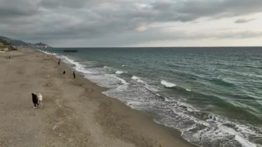 Sinema robotumuz genç çiftlerin kış plaj maceralarını takip ederken büyüleyici bir yolculuğa çıkıyoruz canlandırıcı deniz melteminin büyüleyici anlarını yakalıyoruz..