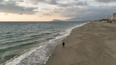Rüzgârın gücünü kucaklayın. Sinematik drone filmlerimizde insanlar rüzgarlı rıhtımda hızlı yürüyor, palmiye yaprakları mükemmel bir uyum içinde dans ediyor..
