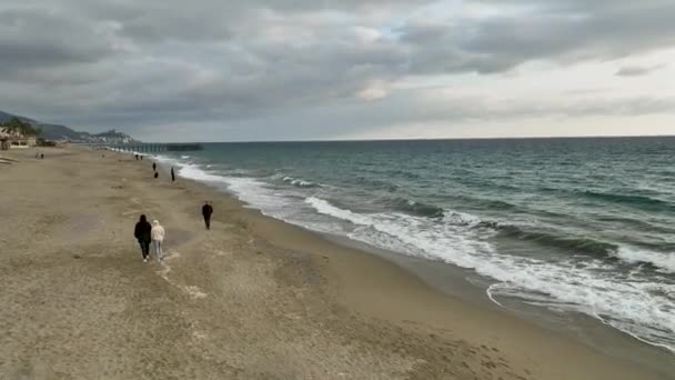 부부들을 해변에서 겨울바람을 고평온 산책을 — 비디오