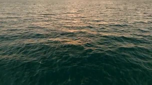 Vivi Gli Incantevoli Paesaggi Marini Mentre Nostro Drone Cinematografico Mostra — Video Stock