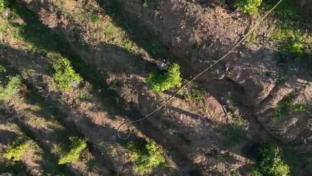 Experimente Tranquilidade Oásis Verde Como Nosso Drone Cinematográfico Fornece Uma — Vídeo de Stock
