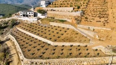 99. seviye bir çiftçinin uzmanlığına tanık olun. Sinema robotumuz dağlık arazideki nefes kesici avokado tarlalarını yakalıyor ve bahçelerdeki küçük otantik evleri sergiliyor.