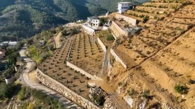 Türkiye 'nin güney kesimindeki avokado çiftçiliğinin sanatını gözler önüne seriyor, tepelik dağ manzarasında resim gibi küçük evler ve teraslı avokado ağaçları yakalıyor..