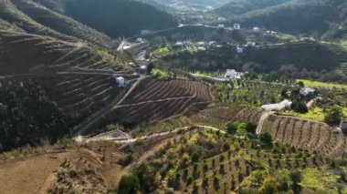 Görkemli hasat törenine tanık olun. Sinema robotumuz, dağlık çiftliklerdeki avokado ağaçlarının bolluğunu filme alıyor. Küçük otantik evleri ve titizlikle teraslı avokado ağaçlarını gözler önüne seriyor.