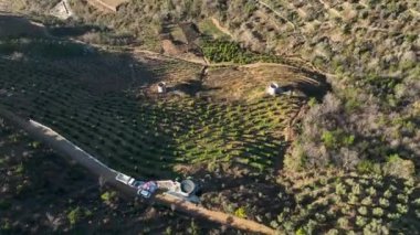 Sinematik dronumuz dağlık çiftliklerdeki avokado bahçelerine benzersiz bir perspektif sunarak küçük evlerin ve teraslı avokado ağaçlarının güzelliğini ön plana çıkarıyor..