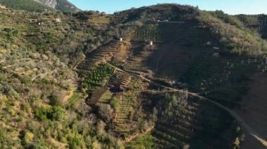 Sinema insansız hava aracımız Türkiye 'nin güneyindeki sakin avokado tarlalarını ortaya çıkarırken, bir yamaç vahası keşfediliyor. Dağlık arazinin ortasındaki küçük evler ve teraslı avokado ağaçlarının özünü yakalıyor..