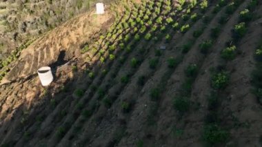 Sinema robotumuz Güney Türkiye 'nin dağlık bölgesindeki avokado bahçelerinin huzurlu güzelliğini sergilerken çiftçiliğin zarafetine kendinizi kaptırın. Etrafı sarılmış küçük otantik evlere tanık olun.