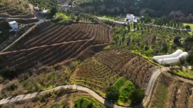 Sinema robotumuz Güney Türkiye 'deki avokado bahçelerinin güzelliğini yakalarken canlı tarım halısının örtüsünü açın. Bahçelerin ortasındaki küçük otantik evleri deneyin. Teraslı avokado.