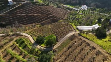 Sinema robotumuz Türkiye 'deki avokado çiftliklerinin havadan görüntüsünü sağladığı için çiftliklerdeki sükunetin tadını çıkarın. Küçük otantik evlere ve teraslı avokado ağaçlarına bakın.