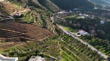 Sinema robotumuz tepe kenarındaki çiftliklerdeki avokado ağaçlarının ihtişamını ortaya çıkarırken havadan gelen neşe. Küçük otantik evleri ve titizlikle teraslanmış avokado ağaçlarını deneyin.