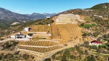 Sinema robotumuz, hindi çiftliği bölgesindeki avokado tarlalarının canlılığını filme çekerken kendinizi zengin duvar halısına daldırın. Küçük otantik evleri ve teraslı avokado ağaçlarını keşfedin.