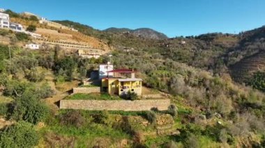 Sinema robotumuz Türkiye 'nin dağlık tarım bölgesindeki avokado tarlalarının zenginliğini filme alırken canlı duvar halısına tanık olun. Küçük otantik evleri ve teraslı avokado ağaçlarını keşfedin.