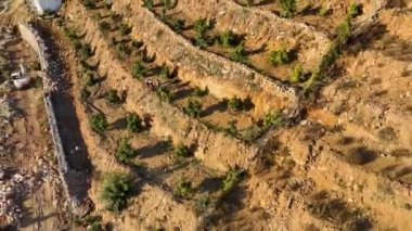 Sinematik dronumuz dağlık çiftliklerdeki avokado bahçelerine benzersiz bir perspektif sağladığı için doğada cömertlik var. Küçük otantik evleri ve teraslı avokado ağaçlarını keşfedin.