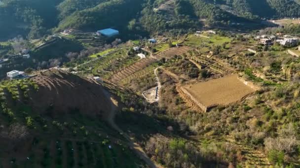 Sinema Insansız Hava Aracımız Güney Türkiye Nin Tepelik Bölgesindeki Avokado — Stok video