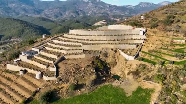 Découvrez Paradis Agricole Car Notre Drone Cinématographique Offre Une Vue — Video