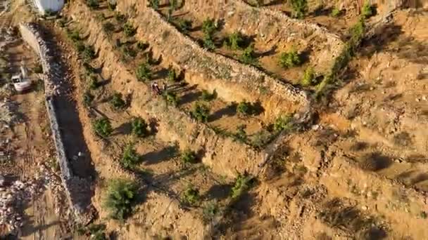 Élvezze Természet Bőkezűségét Mivel Filmes Drónunk Egyedülálló Rálátást Nyújt Hegyvidéki — Stock videók