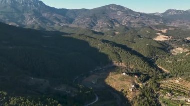 Sinematik dronumuz taze avokado bahçelerinin cazibesini yakalarken Dağ Haşmetleri 'nde bir yolculuğa çıkın. Nefes kesici manzaraları, bol ormanları keşfedin ve özenle muhafaza edin.