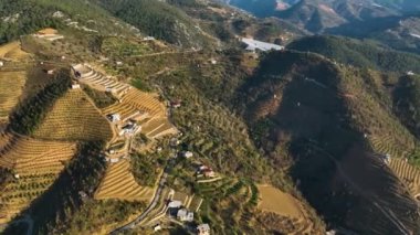 Sinema robotumuz çiftliklere ve avokado bahçelerine eşsiz bir bakış açısı sağladığı için kendinizi uyumlu bir dağa daldırın. Manzaralı güzellikleri, seraları ve terasları keşfedin.