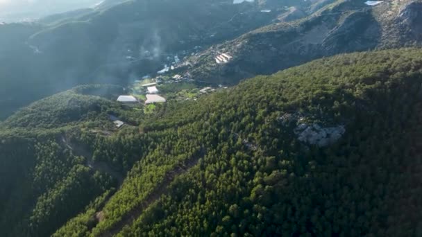 Testemunhe Beleza Crescente Das Plantações Abacate Enquanto Nosso Drone Cinematográfico — Vídeo de Stock