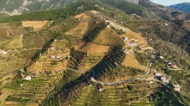 Sinema insansız hava aracımız Türkiye 'nin güneyindeki tarım araçlarına hayranlık uyandıran bir hava manzarası sağladığı için büyüleyici avokado bahçelerini keşfedin. Canlı yeşil teraslara ve pitoresk çiftçiliğe tanık olun