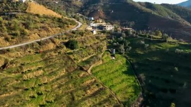 Sinema insansız hava aracımız Türkiye 'nin güneyindeki çiftliklere eşsiz bir bakış açısı sağladığı için nefes kesici avokado tarlalarına dalın. Verimli terası keşfedin.