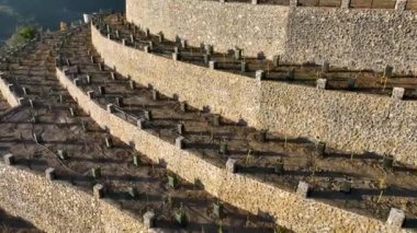 Sinema robotumuz Türkiye 'nin güneyindeki canlı avokado teraslarını keşfederken doğal bolluk dünyasına kaçın. Titizlikle bakılan çiftliklere ve alımlı çiftliklere tanık olun.