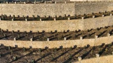 Kendinizi zengin avokado evreninin güzelliğine daldırın. Profesyonel dronumuz dağlardaki teraslı avokado tarlalarının nefes kesici görüntülerini yakalıyor..