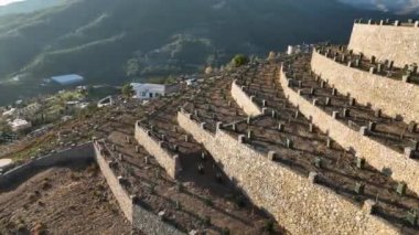 Avokado vahasının büyüsünü tecrübe edin. Uzman pilotlu İHA 'mız, dağların arasına yerleşmiş teraslı avokado tarlalarıyla bezenmiş verimli tarım bölgesini gözler önüne seriyor.....