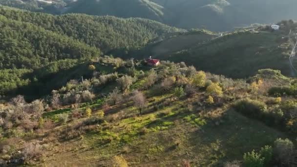 Oglądaj Urzekające Sady Awokado Jak Nasz Dron Filmuje Piękno Domów — Wideo stockowe