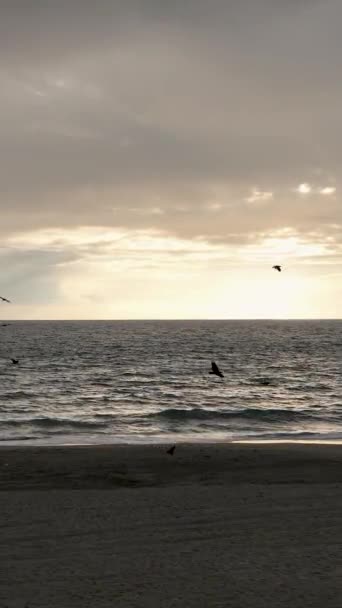 Zanurz Się Zachwycającym Pięknie Alanyas Przybrzeżnego Raju Tego Pionowego Wideo — Wideo stockowe