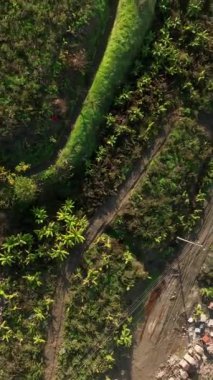 Türkiye 'nin canlı kenti Alanya' da ev ve ofis inşaatı için toprakları keşfederken, bu dikey videoda bir keşif yolculuğuna çıkın..