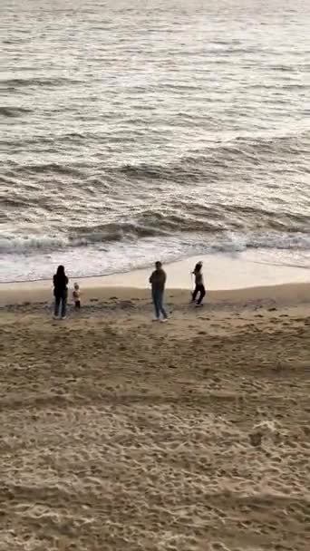 加入一个家庭在一个宁静的日落散步沿着海滩在这个垂直的视频 当他们沉浸在美的美中时 见证他们的欢乐 — 图库视频影像